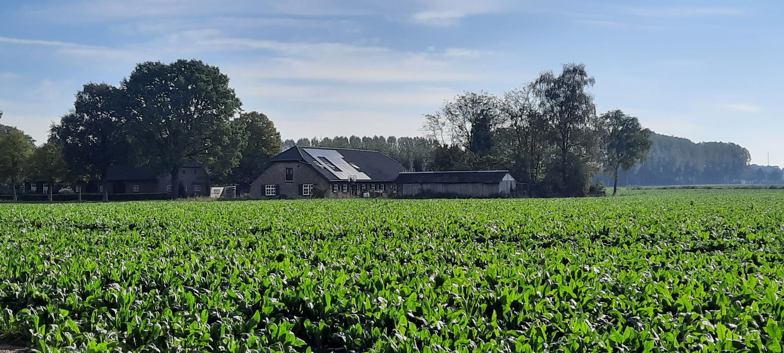 Zicht op de hoeve vanaf het akkerland